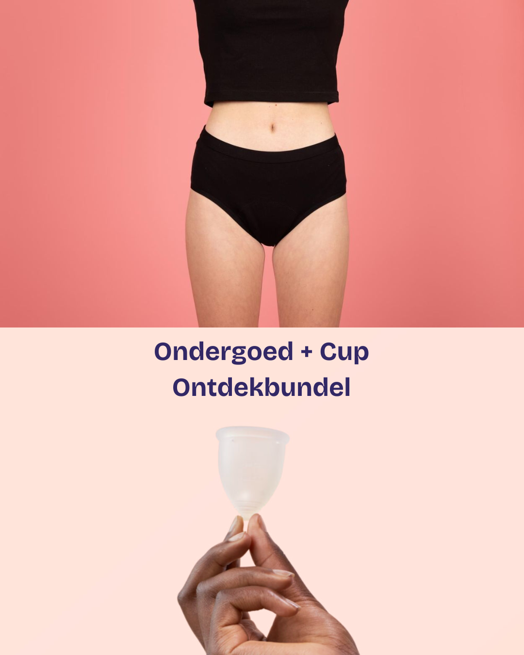 Ontdekbundel (limited edition)